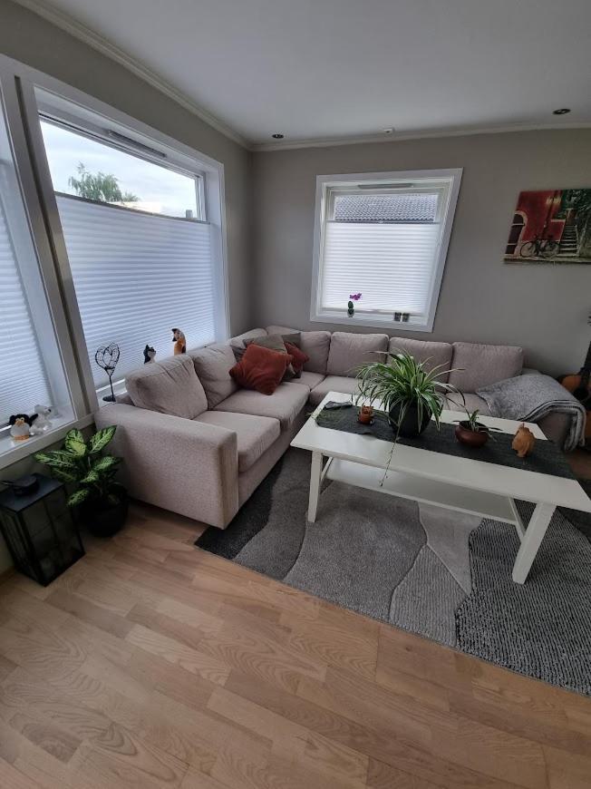 Private Guest Room In Cozy Apartment Trondheim Exteriér fotografie